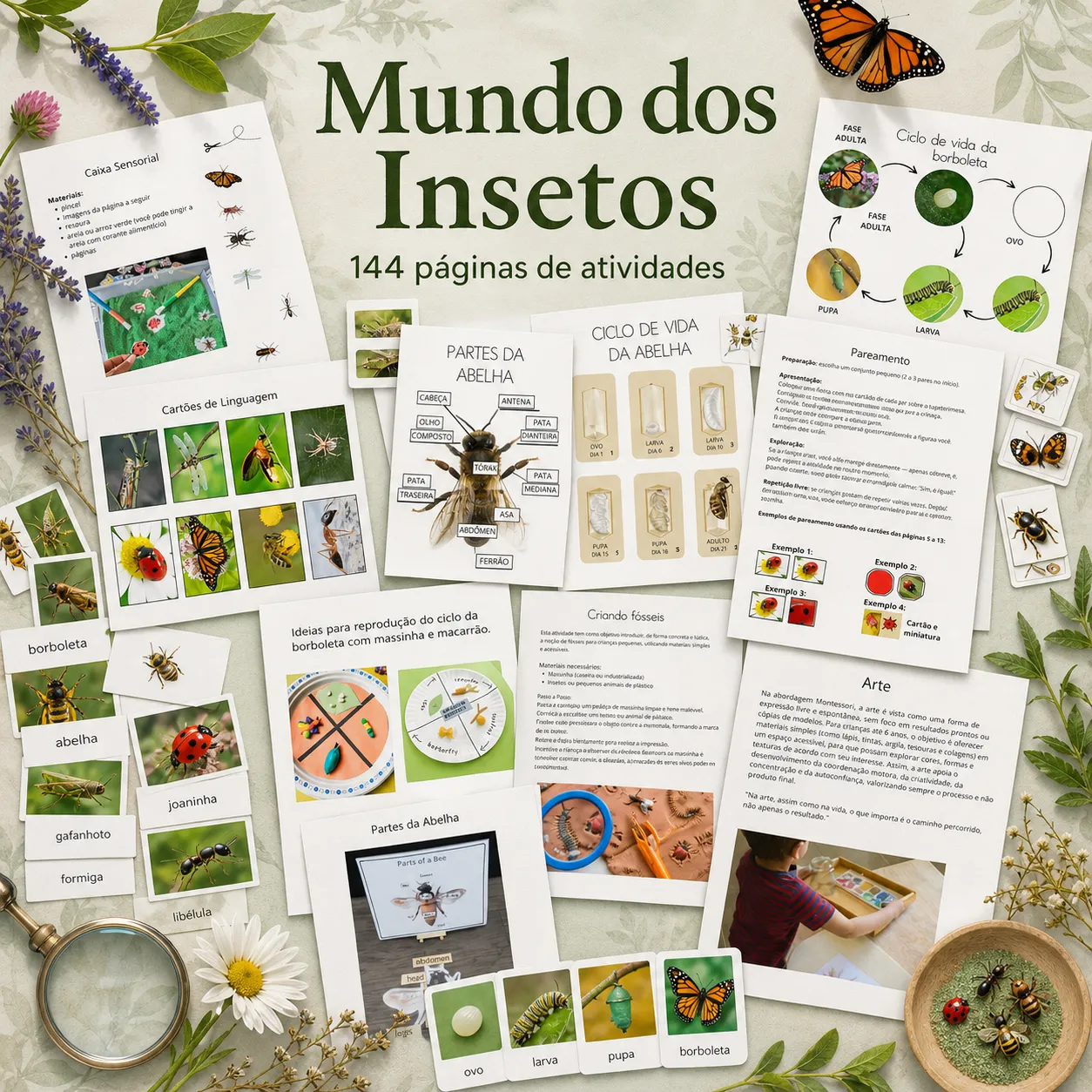Composição de páginas e cartões do material Mundo dos Insetos, com fotografias de insetos, anatomia da abelha e ciclo da borboleta.